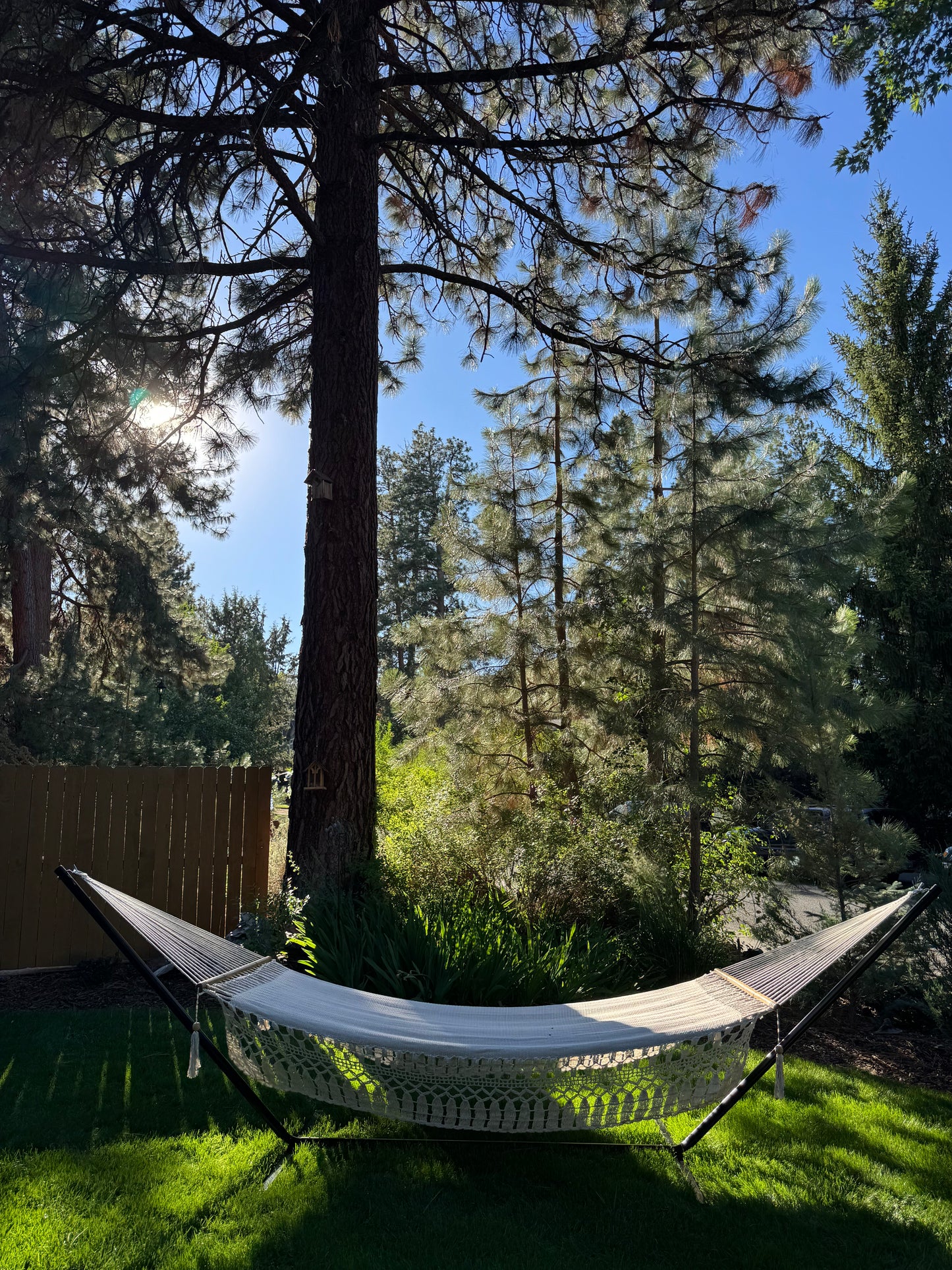 Reserva Hammock